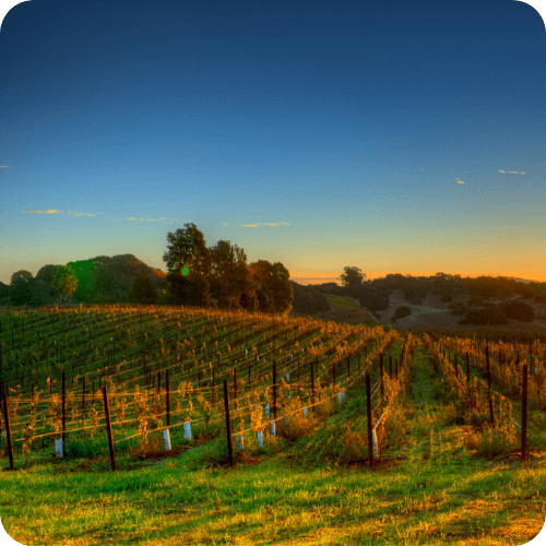 Napa Workers' Compensation Lawer | Spiro k. Pistiolas