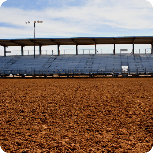 Oakland CA USA | Spiro. K, Pistioas