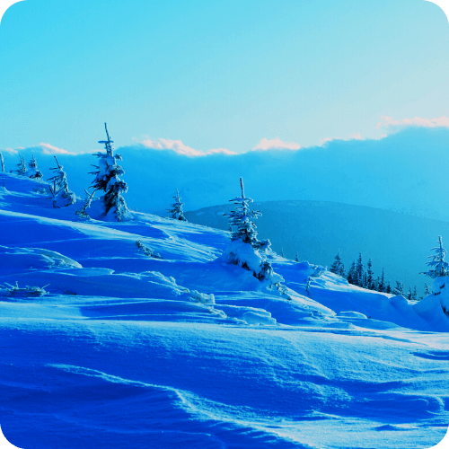 San Francisco CA | Spiro. K. Pistiolas